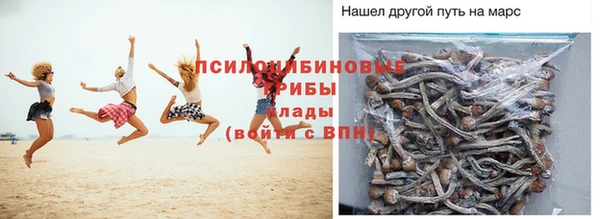 дурь Алзамай