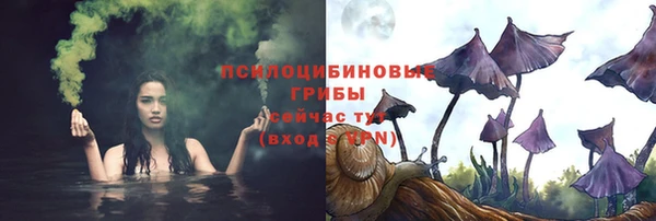 дурь Алзамай