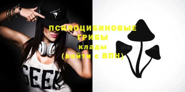 таблы Алексин