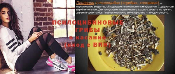 прущая мука Абаза