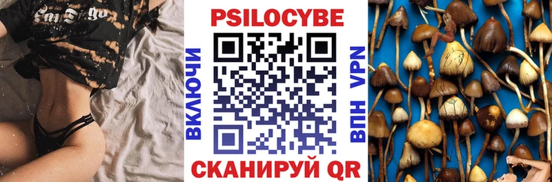 Галлюциногенные грибы Psilocybe  Мыски 