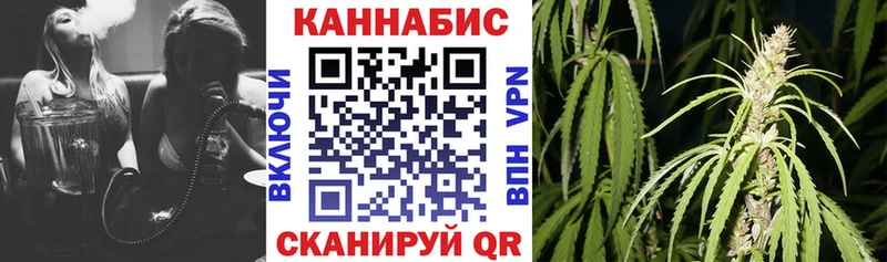 дарнет шоп Мыски Бошки Шишки сатива